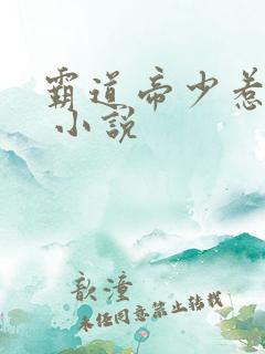 霸道帝少惹不得 小说