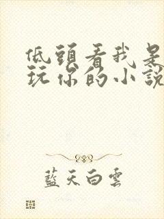 低头看我是怎么玩你的小说