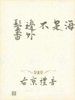 鬓边不是海棠红番外