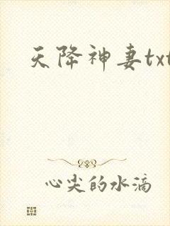 天降神妻txt