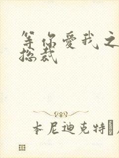 等你爱我之冰山总裁