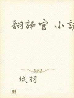 翻译官 小说