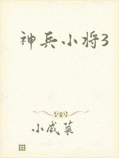 神兵小将3