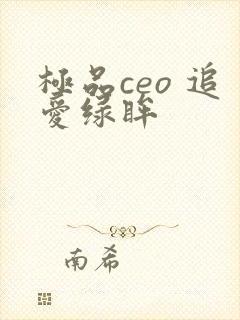 极品ceo 追爱绿眸