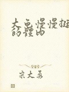 大龟慢慢挺进我的体内