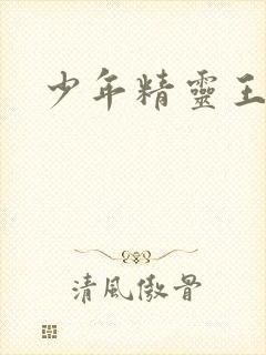 少年精灵王