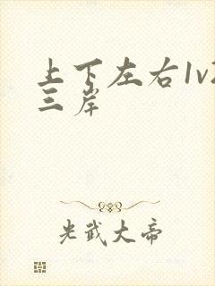 上下左右1v2三岸