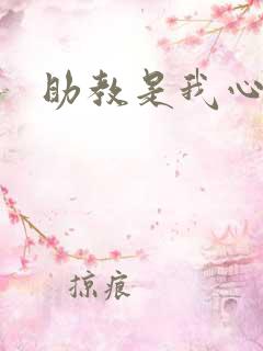 助教是我心尖宠