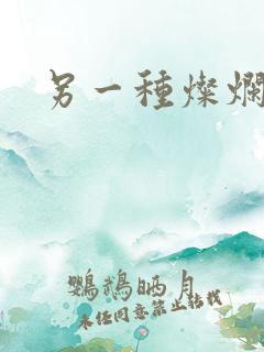 另一种灿烂生活