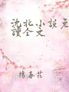 沈北小说免费阅读全文