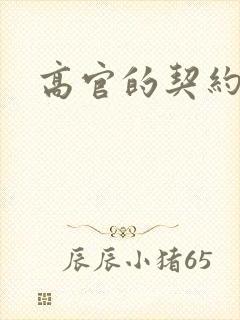 高官的契约情人