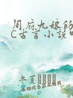 周府九娘的NPC古言小说叫什么