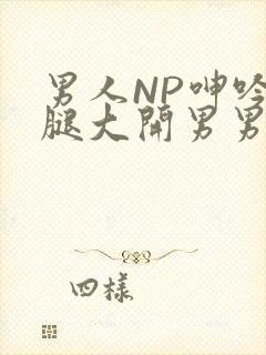 男人NP呻吟双腿大开男男小说