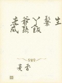 老爷丫鬟生米煮成熟饭