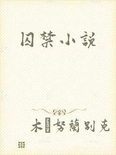 囚禁小说