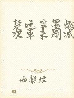 楚晚宁墨燃第一次车未删减