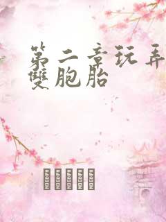 第二章玩弄少妇双胞胎