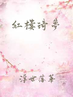 红楼琦梦