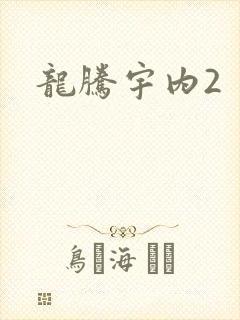 龙腾宇内2