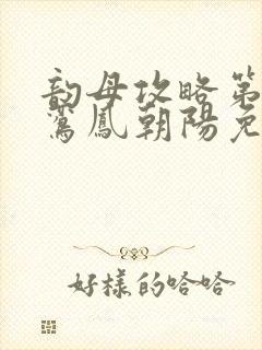 韵母攻略第二部鸾凤朝阳免费阅读