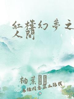 红楼幻梦之天上人间