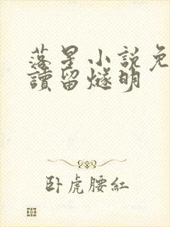 落星小说免费阅读留燧明