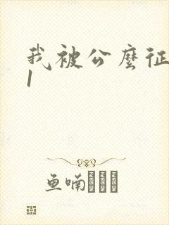 我被公么征服了1