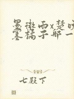 墨微雨x楚晚宁塞橘子哪一章