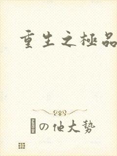 重生之极品大鳄