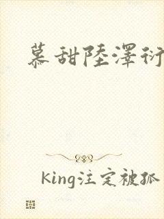 慕甜陆泽衍小说