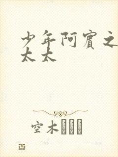 少年阿宾之房东太太