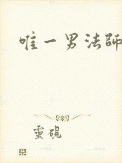 唯一男法师
