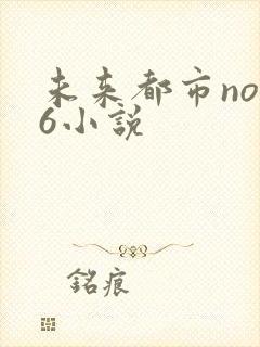 未来都市no.6小说