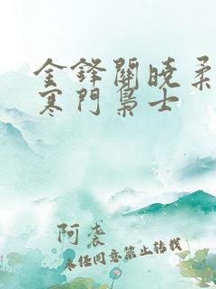 金锋关晓柔小说寒门枭士