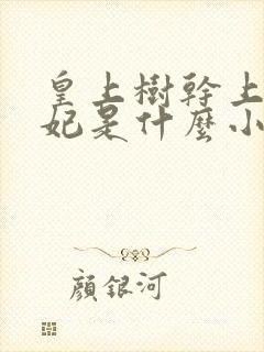 皇上树干上太子妃是什么小说