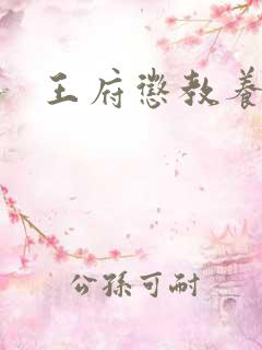 王府惩教养日常