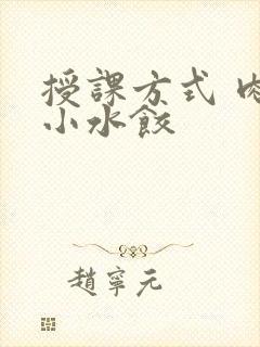 授课方式 肉馅小水饺