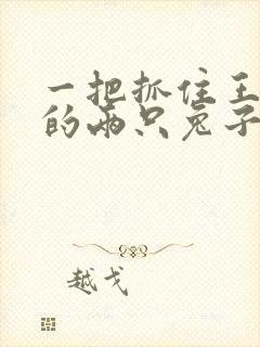 一把抓住王昭君的两只兔子