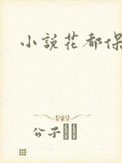 小说花都保镖