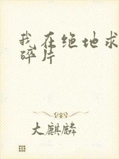 我在绝地求生捡碎片