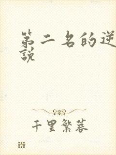 第二名的逆袭小说