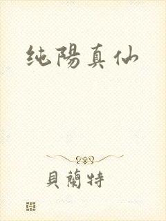 纯阳真仙