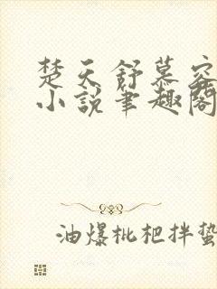 楚天舒慕容江月小说笔趣阁