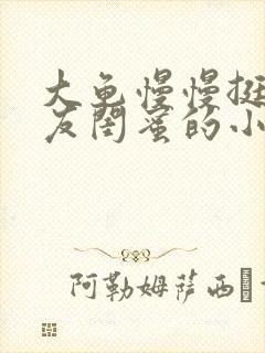 大龟慢慢挺进女友闺蜜的小说
