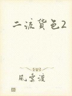 二流货色2