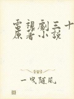 电视剧三十而已原著小说