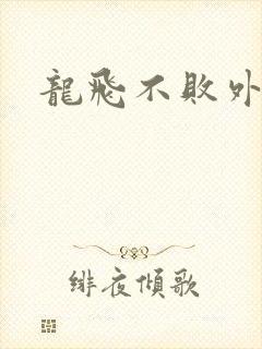 龙飞不败外传