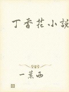 丁香花小说