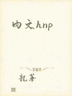肉文hnp
