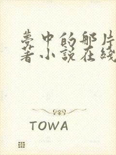 梦中的那片海原著小说在线阅读